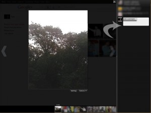 google plus photo viewer